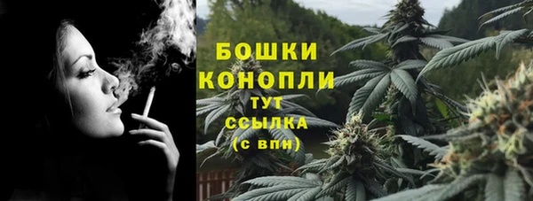 СК Бронницы