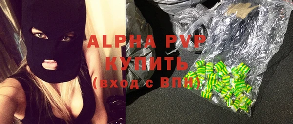 spice Бородино