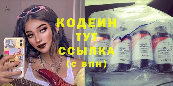 spice Бородино