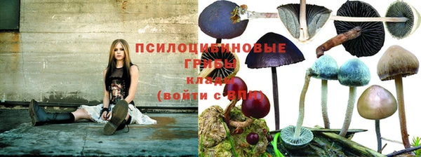 СК Бронницы